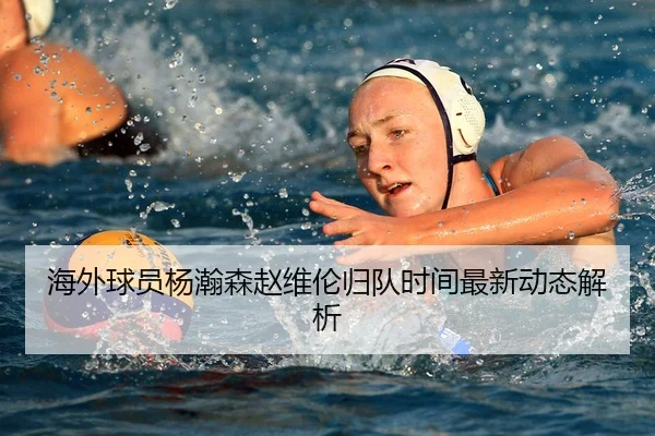 海外球员杨瀚森赵维伦归队时间最新动态解析